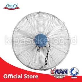 Wall Fan  1 1_3slv_yl