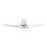 Ceiling Fan  clf 48 309 pwled ys 2