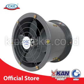 Drum Fan DFS-FA25YP-GS 2 dfs_fa25yp_gs_2w